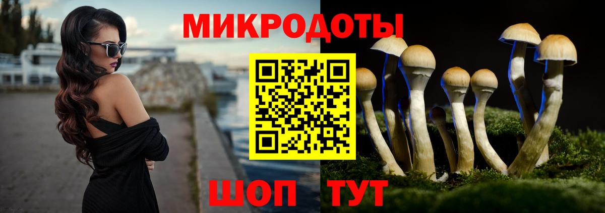 купить   Вход с VPN  Губкинский  Галлюциногенные грибы Magic Shrooms  Псилоцибиновые грибы Psilocybe 
