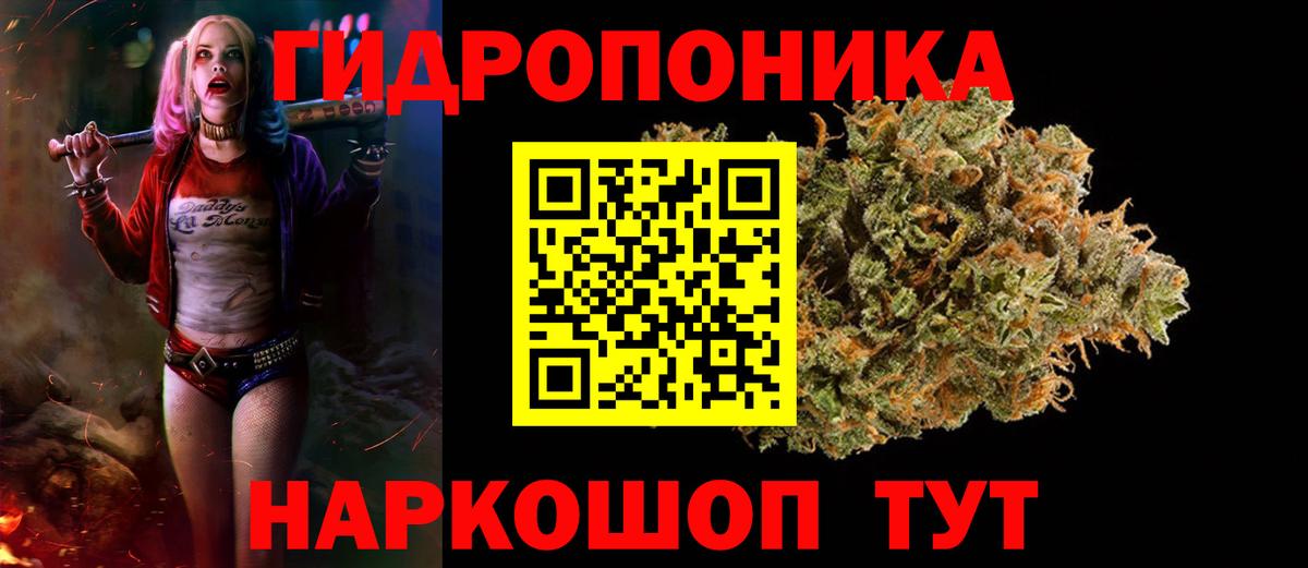 Бошки Шишки конопля Губкинский